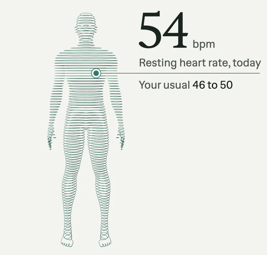 The Digital Twin drawn as about ninety horizontal contour lines, with one readout at heart height: resting heart rate 54 today, your usual 46 to 50.