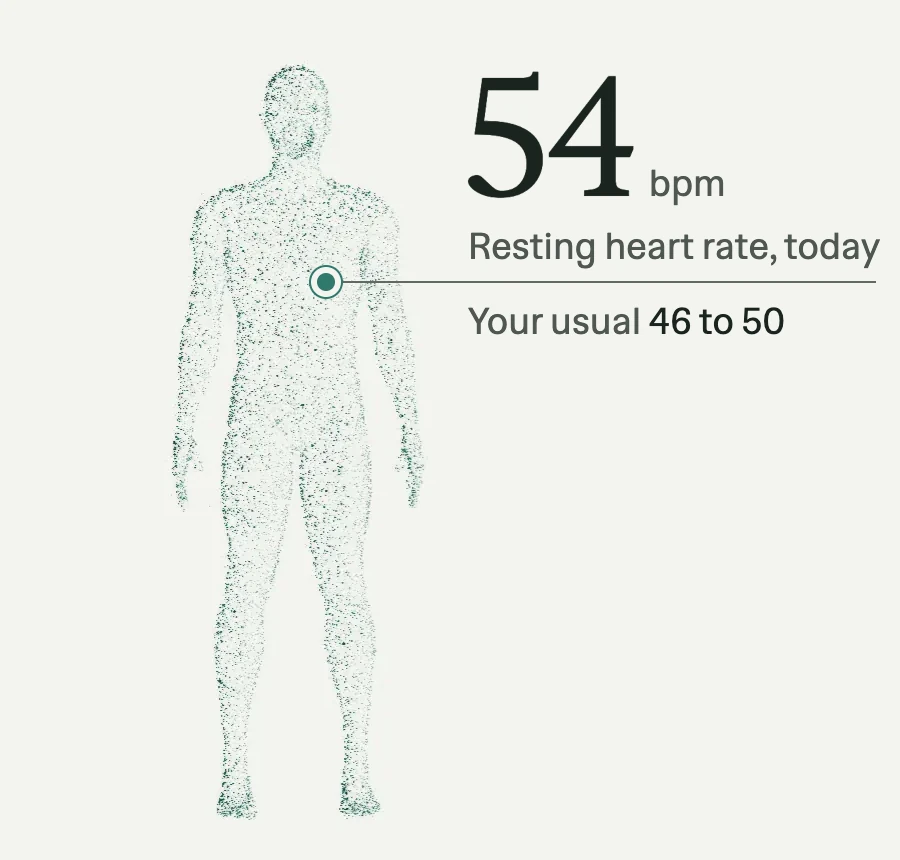 The Digital Twin as a standing figure made of points, with one readout at the chest: resting heart rate today 54 beats per minute, your usual 46 to 50.