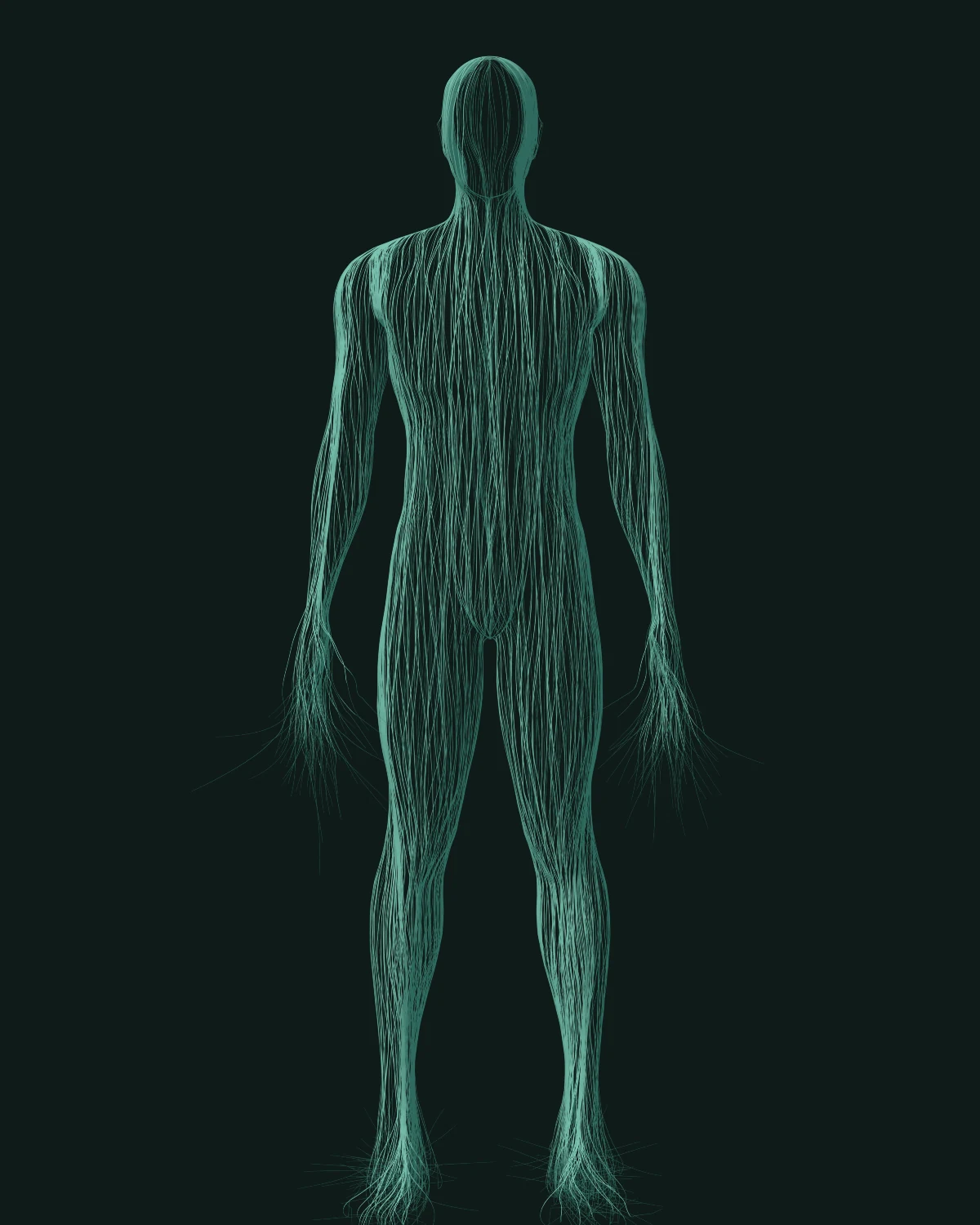 Thread, front view, on night