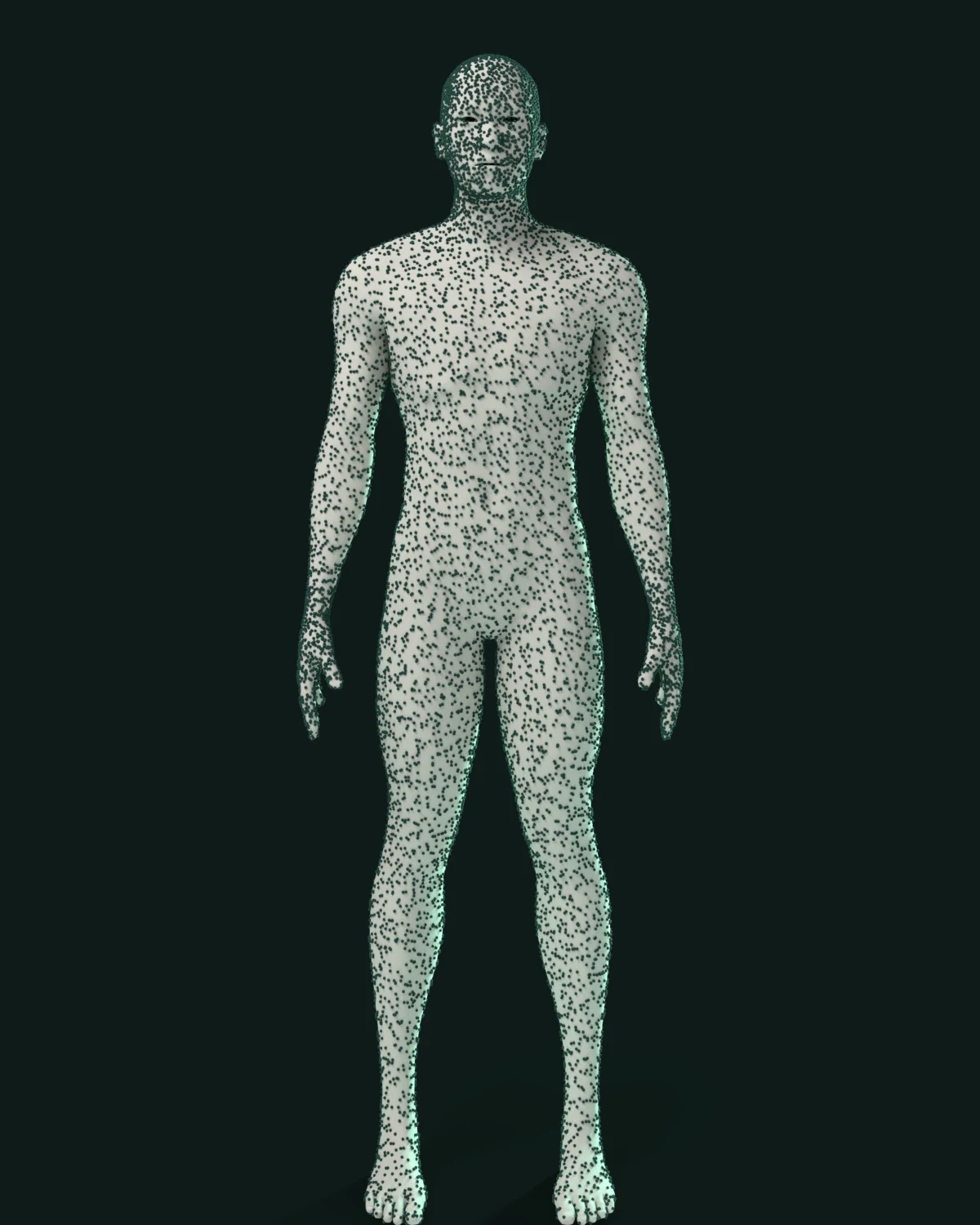 Stipple Twin, front view, on night